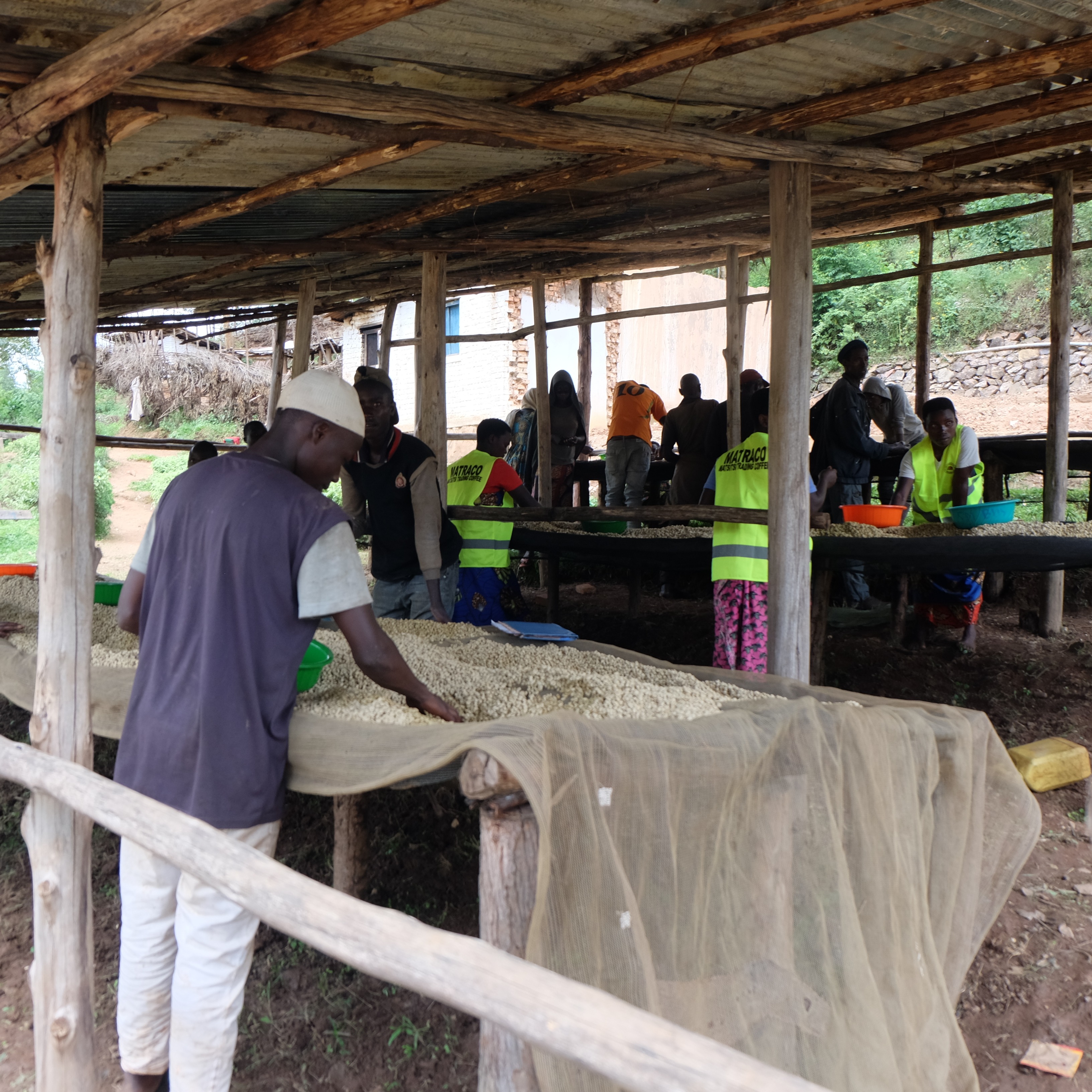 Burundi Businde Washed(24/25年クロップ) | ORIGIN COUNTRIES for